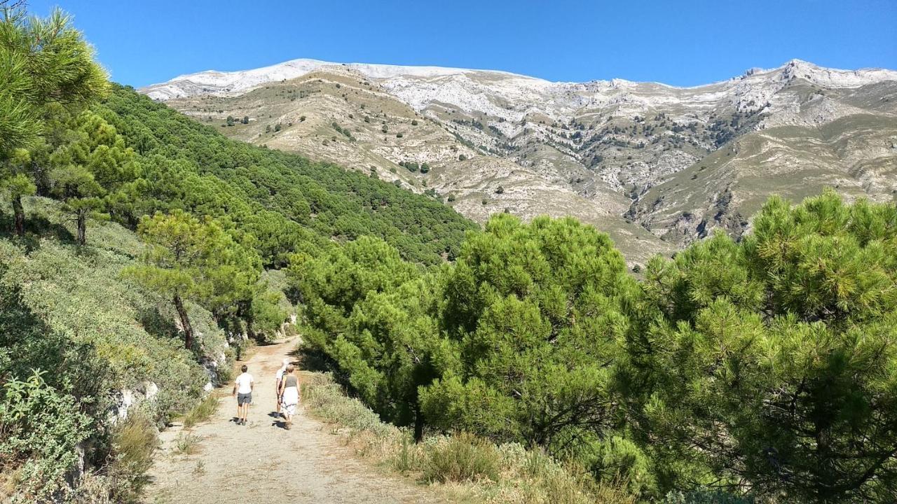 Casa Trigo Villa Cómpeta Dış mekan fotoğraf
